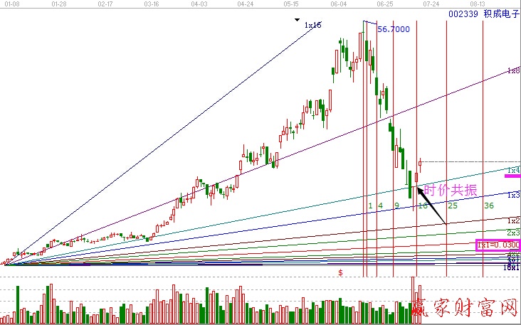 002339技術分析圖