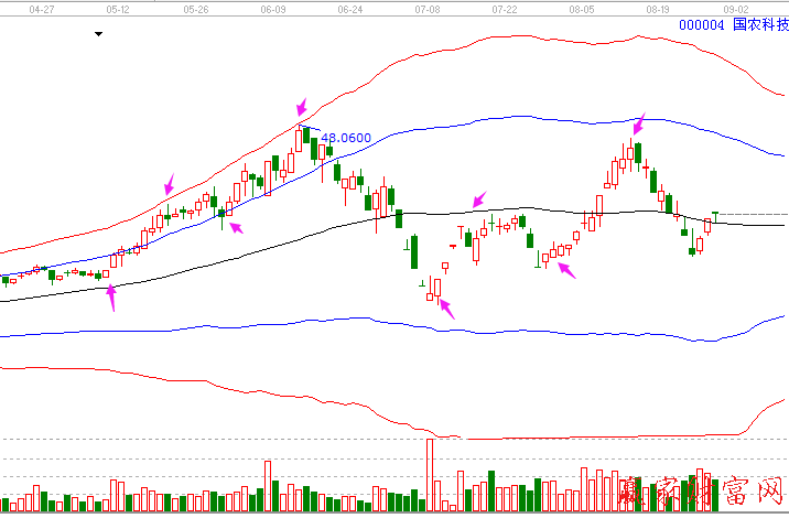 國農科技00004極反通道圖