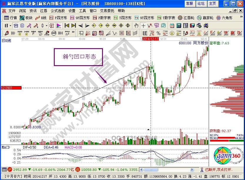 斜勺凹口形態特征