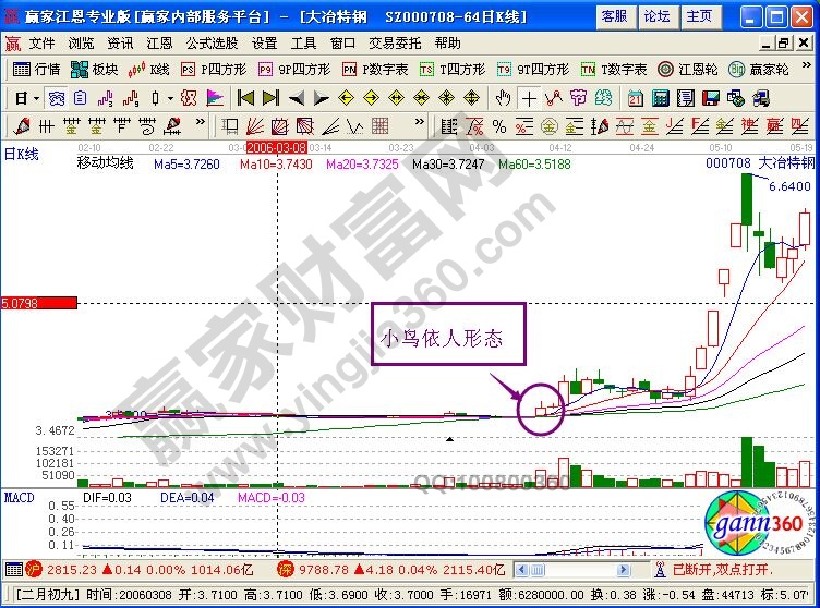 小鳥依人形態定義