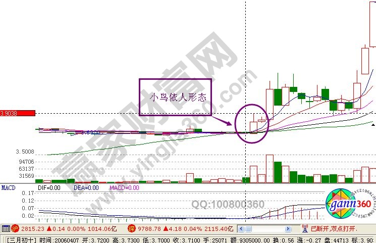“小鳥依人”形態技術要點