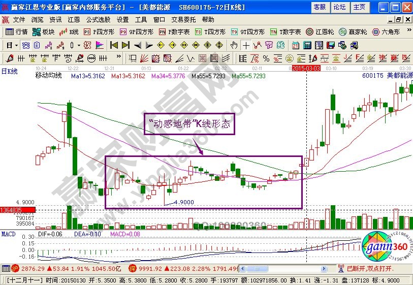 “動感地帶”形態