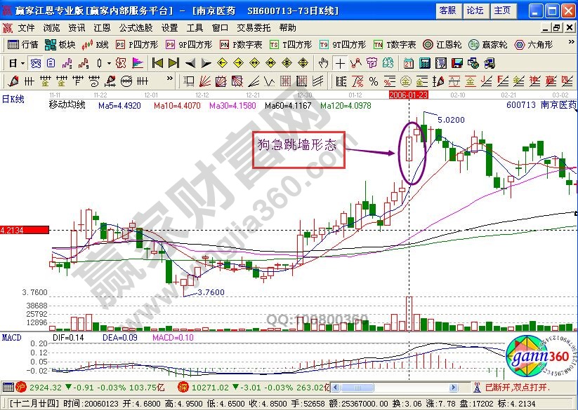 “狗急跳墻”形態
