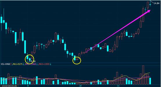 守門雙神技術形態