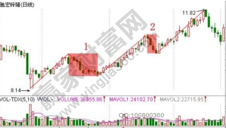 鑒定真偽纏論的四個元位