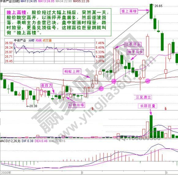 中體產業獨上高樓
