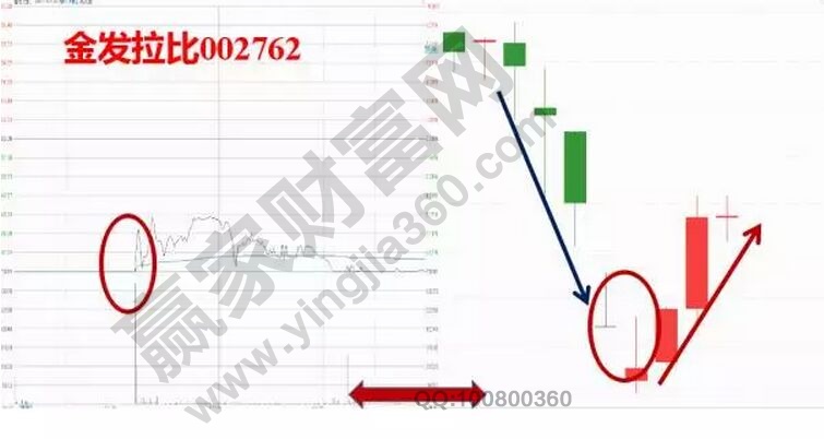 金發拉比走勢圖